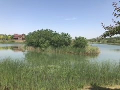 -西安浐灞国家湿地公园