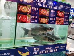 水产区-李二鲜鱼(水晶店)