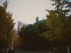 -重庆工商大学(南岸校区)