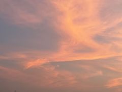 -滨海公园