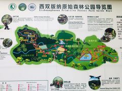 -西双版纳原始森林公园