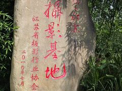 -泗洪洪泽湖湿地景区