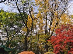 -中山公园