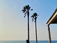 -Cafe Aewol Monsant