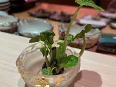-橼舍鮨青木