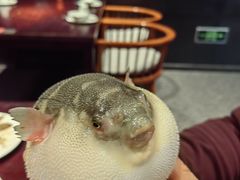 -永安鱼庄·镇江菜(东吴路店)