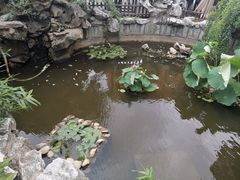-漫渡庄绿岛花园•隐世庭园菜(滨湖店)