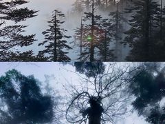 -瓦屋山景区