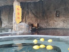 -裕龙汤泉