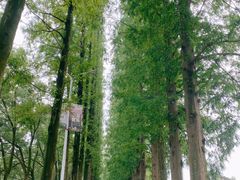 -万兴佳烤肉·长白山老味道(宏泰广场店)