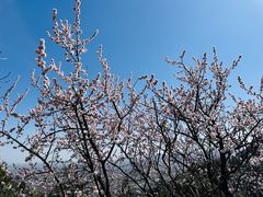 -北京凤凰岭