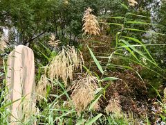 -方恒购物中心(望京小街店)