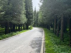 -新疆那拉提国家旅游度假区