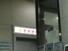 -半岛宠物医院24小时(科华中路店)