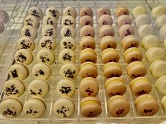 -BLACKSWAN黑天鹅(环球店)