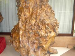 P1000655-绿色时代大酒店