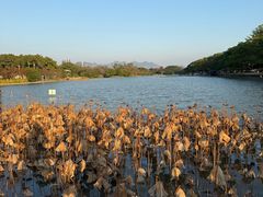 -江心屿景区