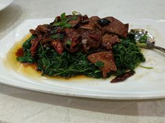 -梅龙镇酒家(南京西路总店)