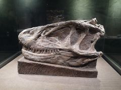 -自贡恐龙博物馆