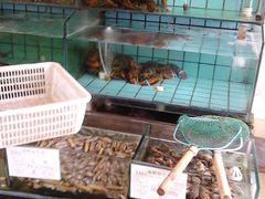 -海岛渔村大酒店(云霄路店)