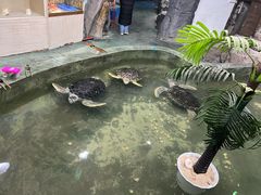 -嘉兴海底世界