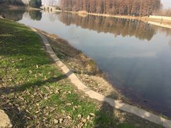 -汉水公园