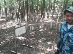 -亲兄弟真人CS团建拓展基地