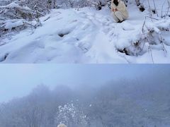 -嘉陵江源头景区