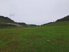 -关山草原