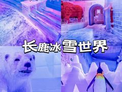 -长鹿旅游休博园