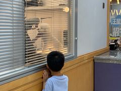 -帕帕拉兹宠物(亚洲旗舰店)