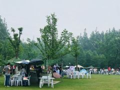 -上海长兴岛郊野公园