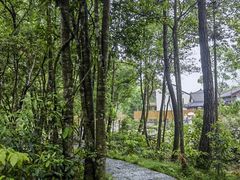 -姑婆山旅游区