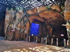 -杭州开元森泊度假乐园