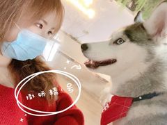 -Husky Go! 哈士奇体验馆·宠物咖啡厅狗咖