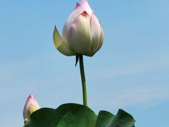 -梁鸿国家湿地公园