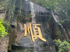 -三水森林公园