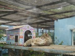 -青藏高原野生动物园