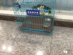 -交通银行(上海漕河泾科技支行)