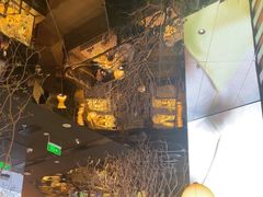 -桂满陇·海市蜃楼·黑金(国金店)