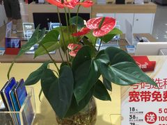 -永乐生活电器(长寿路店)