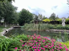 -春风习习