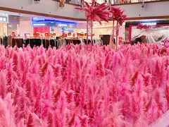 -首创奥特莱斯(西安店)