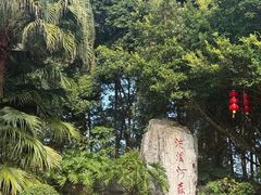 -广州市流溪河国家森林公园