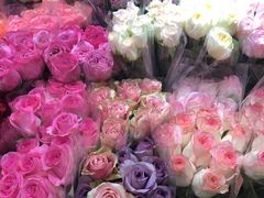 -双季花艺园艺市场(浦东店)