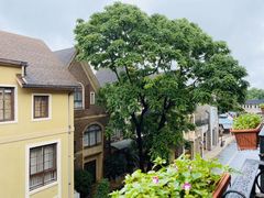 -中旅阿那亚九龙湖·公主酒店