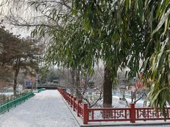 -燕郊植物园