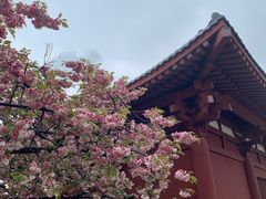 -大慈恩寺(大雁塔)