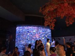 -成都浩海立方海洋公园