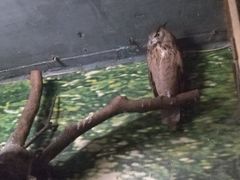 -上海昆虫博物馆